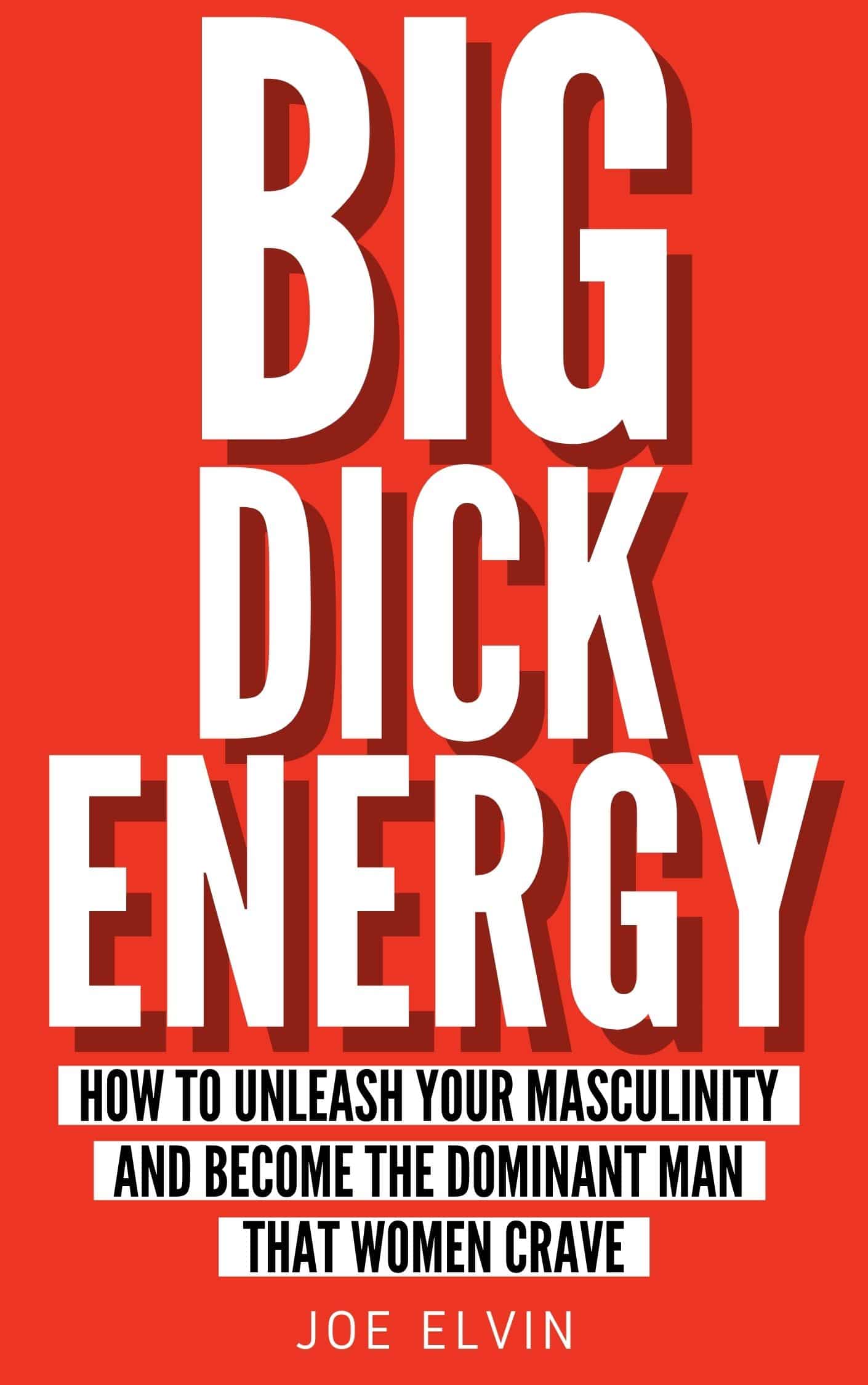 Big Dick Energy Joe Elvin Book