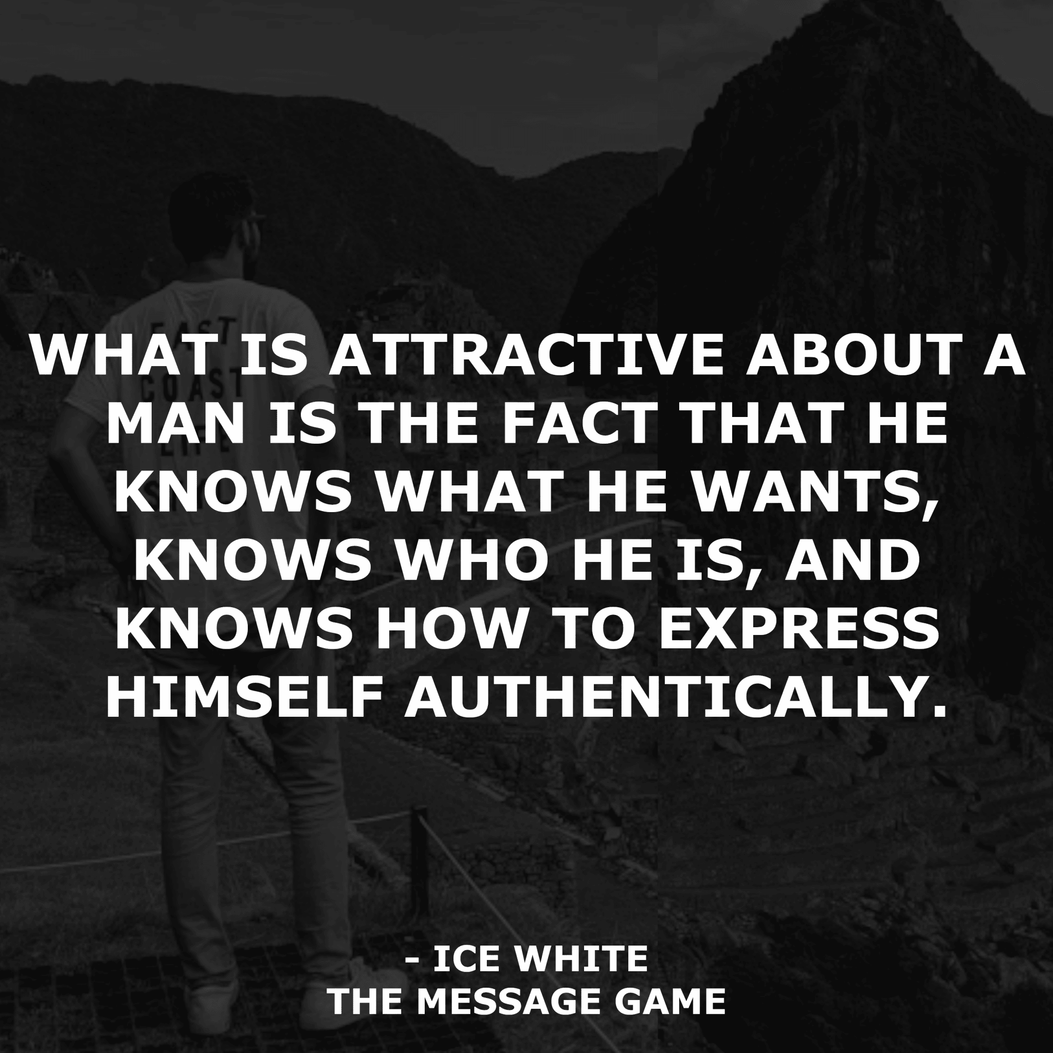 Book Quotes What is attractive about a man is the fact that he knows what he wants, knows who he is, and knows how to express himself authentically Ice White Message Game