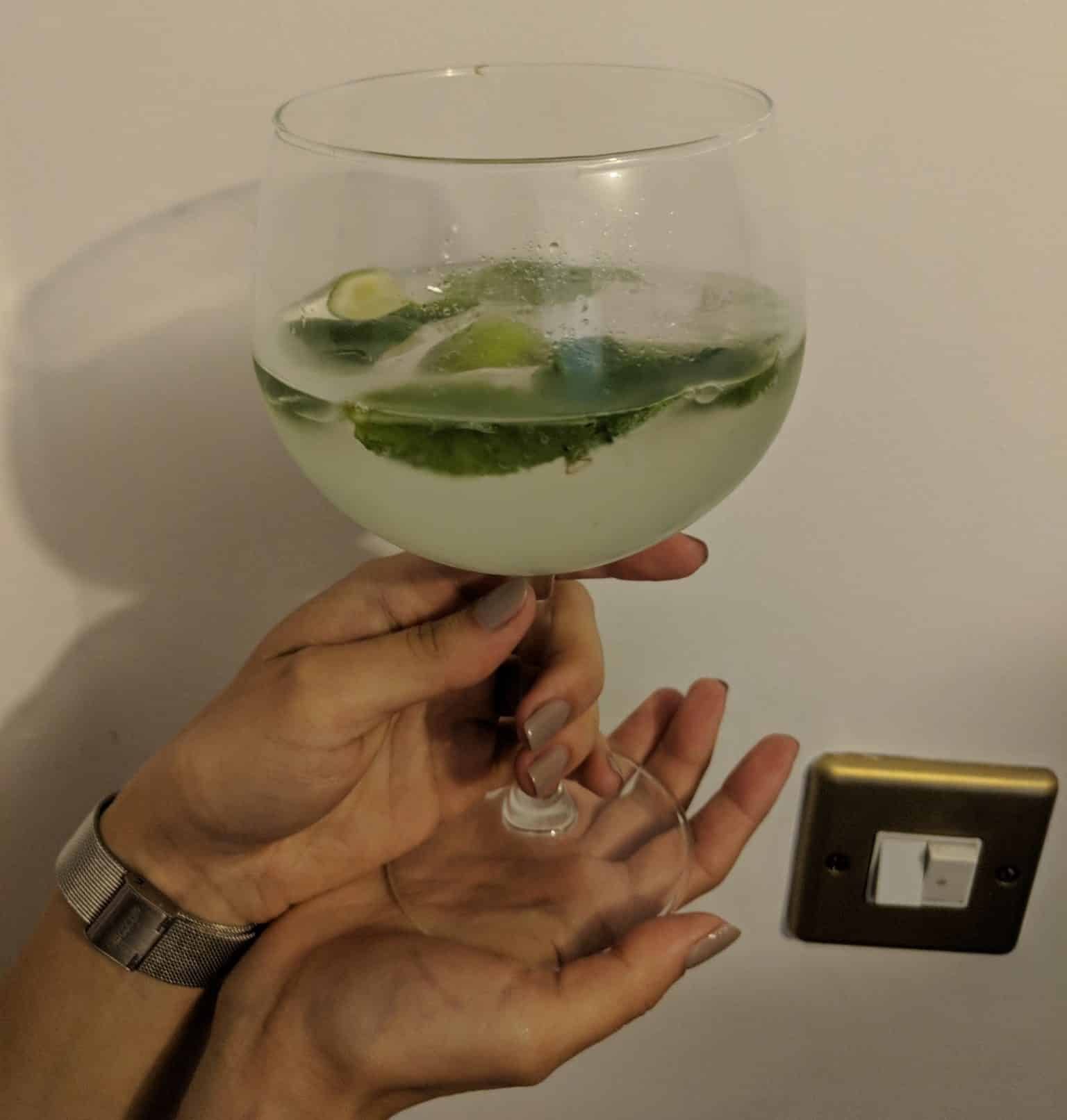 Mojito Truth Or Dare Sexy