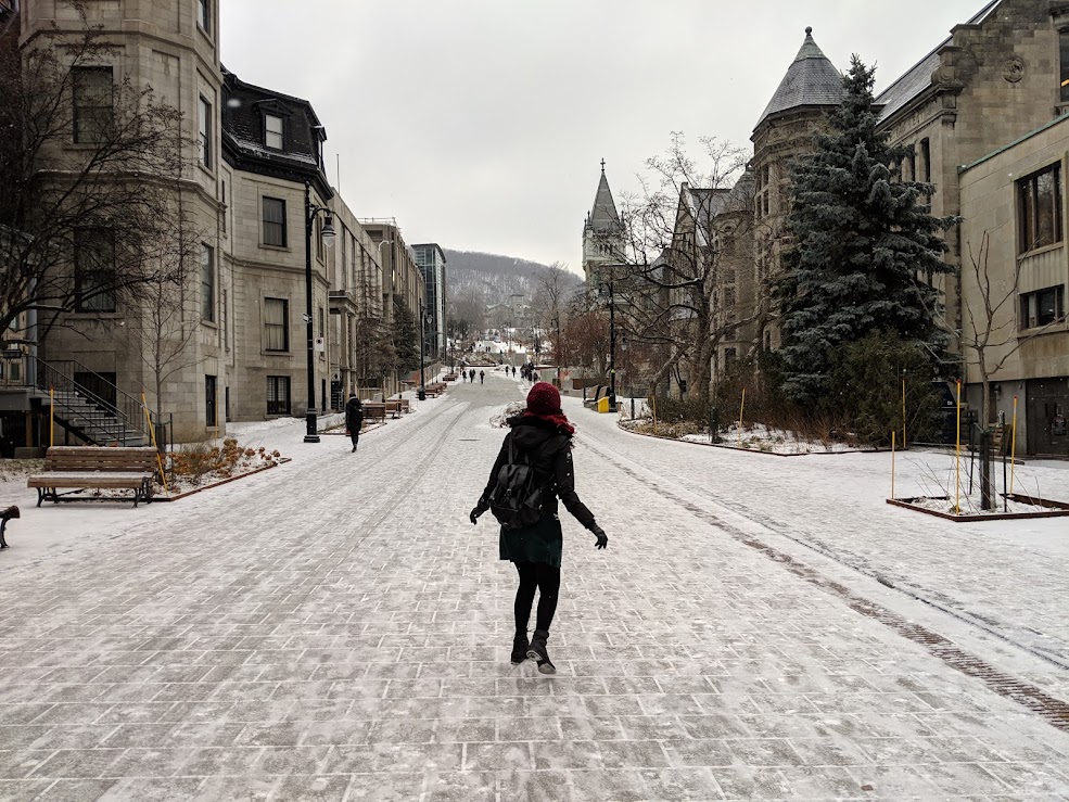 Montreal McGill University Big City